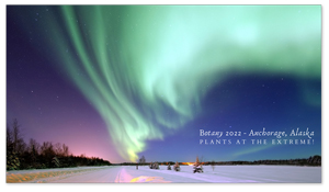 Anchorage, Alaska Zoom Background 5