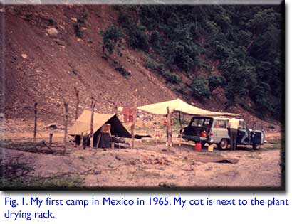 my first camp