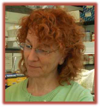 Dr. Amy Litt focuses on the genetic basis of plant diversity and how changes in the molecular processes that direct plant development have changed during the course of angiosperm evolution and how the changes have affected plant structure and function. In addition, she is looking at the role of genetic diversity on evolution and phenotypic diversity at the population level on an ecological perspective. Read more on Amy's work at: http://www.nybg.org/science/scientist_profile.php?id_scientist=12