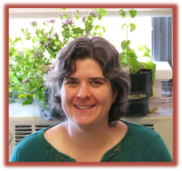 Dr. Dianella Howarth's lab integrates phylogenetics, molecular and EVO-DEVO approaches to understand the evolution of plant development. Gene functional analyses of floral symmetry genes such as CYCLOIDEA-like, RADIALIS-like and DIVARICATA-like, expression profiles, nature and number of sequences across numerous taxa are used to determine how changes shape the morphology and evolution of the various groups. 