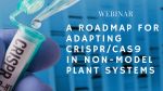 Picture 0 for A Roadmap for Adapting CRISPR/Cas9 in Non-model Plant Systems